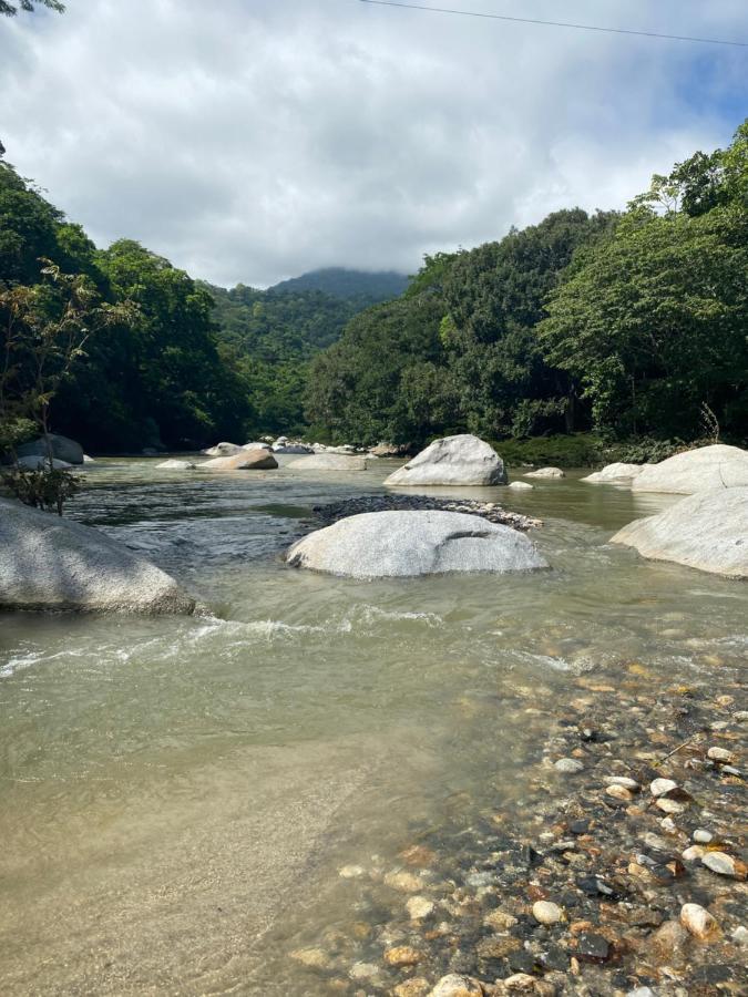 Wayanay Tayrona Eco Hostel エル・ザイノ エクステリア 写真
