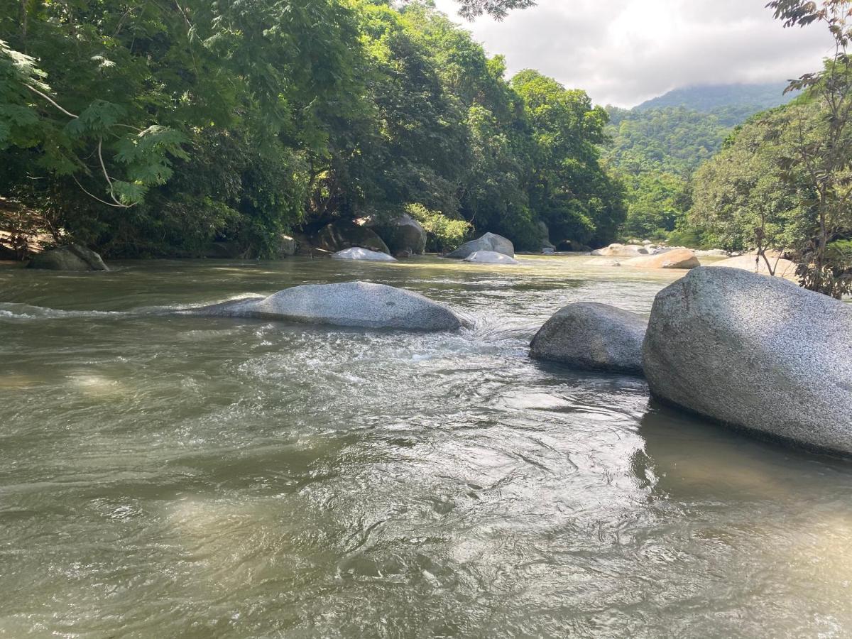 Wayanay Tayrona Eco Hostel エル・ザイノ エクステリア 写真
