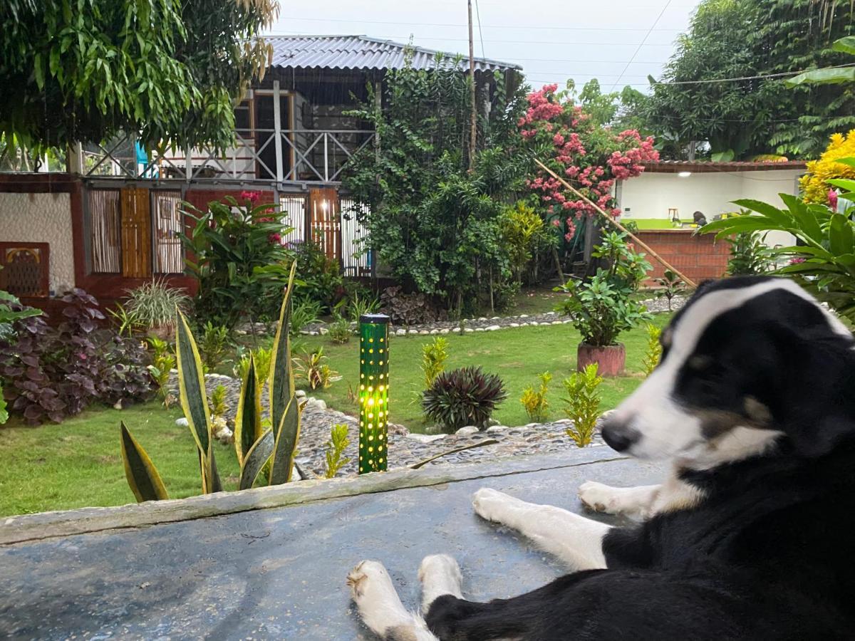 Wayanay Tayrona Eco Hostel エル・ザイノ エクステリア 写真