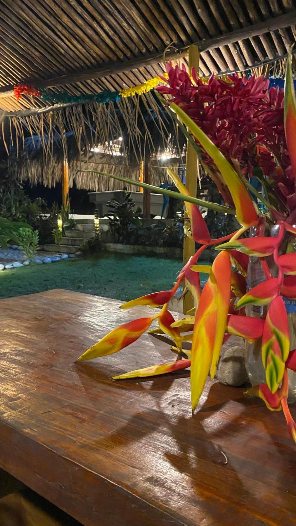 Wayanay Tayrona Eco Hostel エル・ザイノ エクステリア 写真