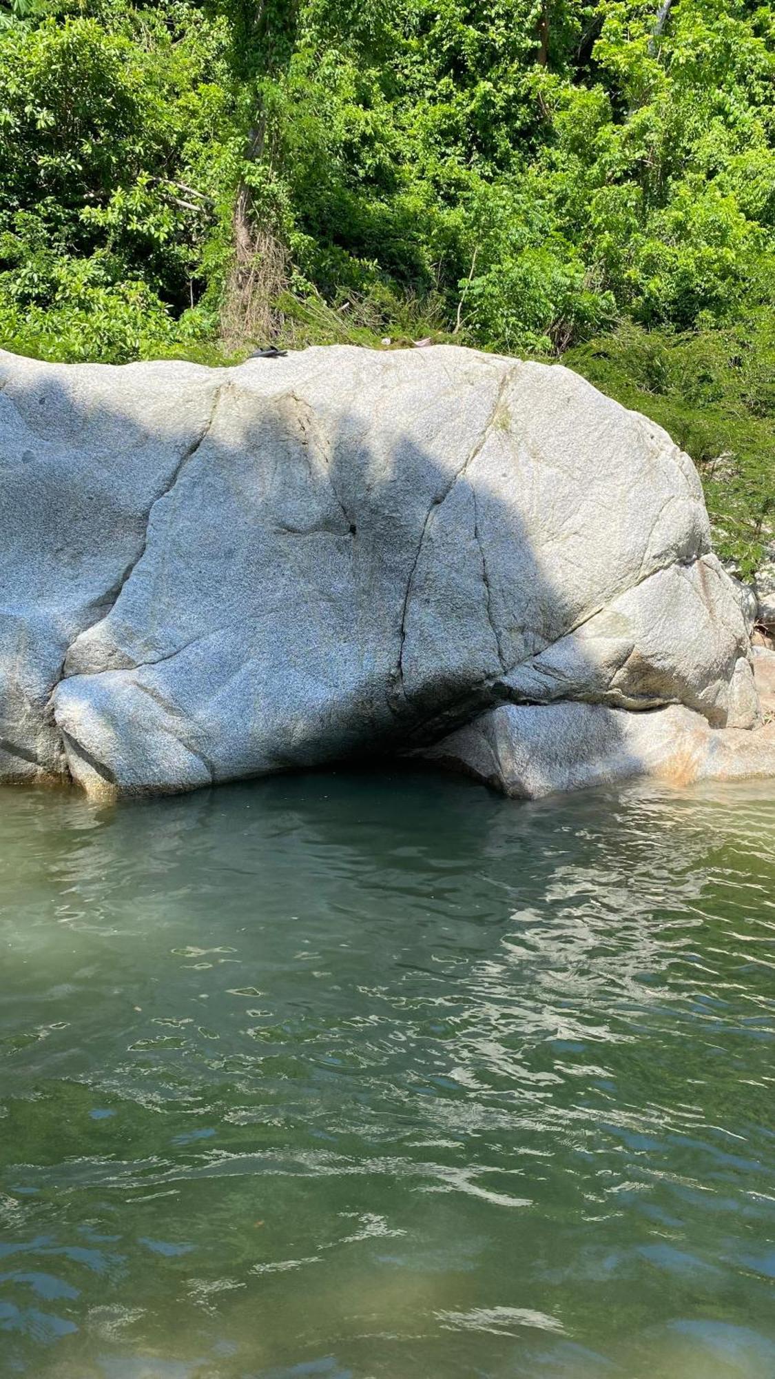 Wayanay Tayrona Eco Hostel エル・ザイノ エクステリア 写真