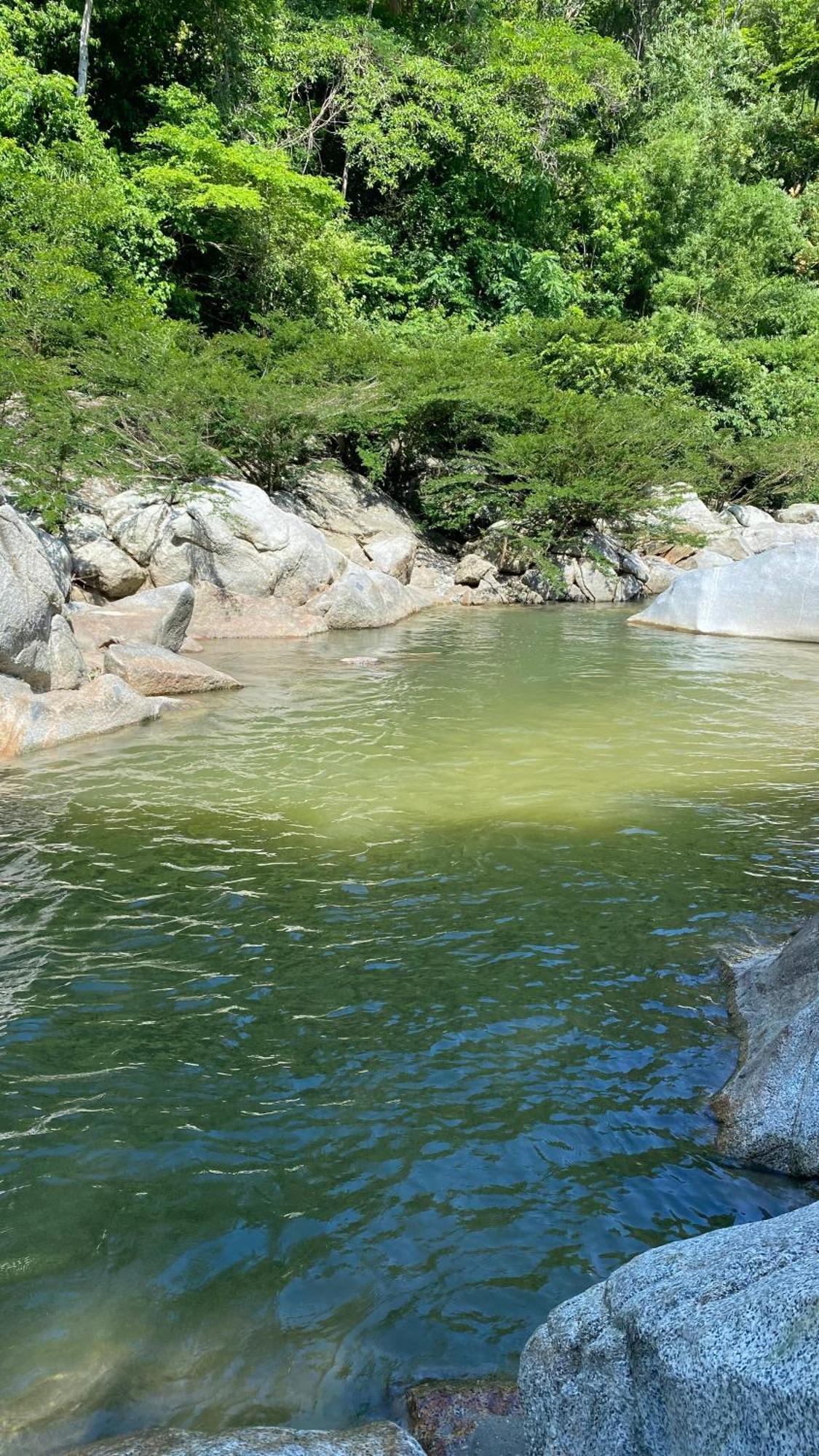 Wayanay Tayrona Eco Hostel エル・ザイノ エクステリア 写真
