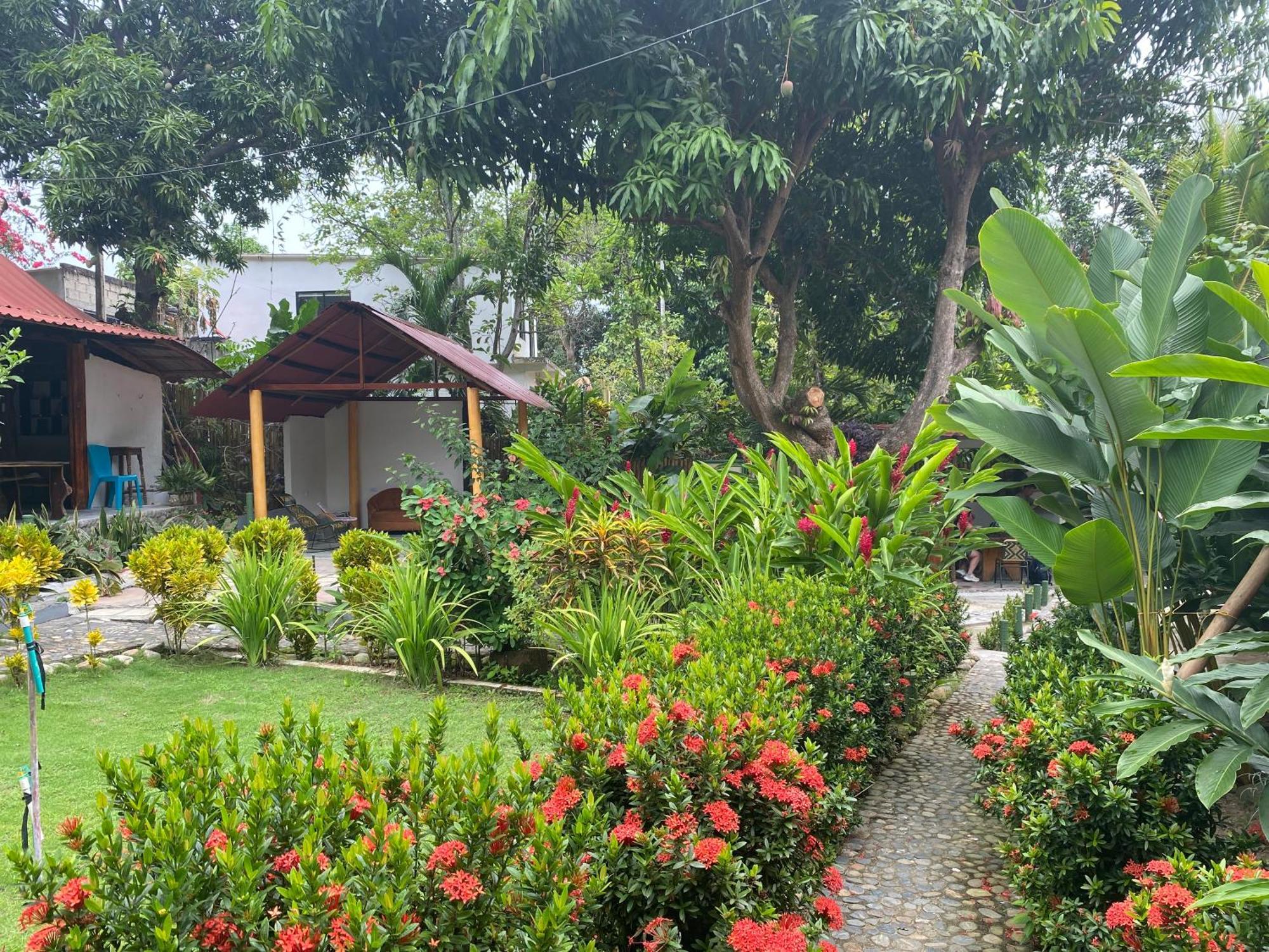 Wayanay Tayrona Eco Hostel エル・ザイノ エクステリア 写真