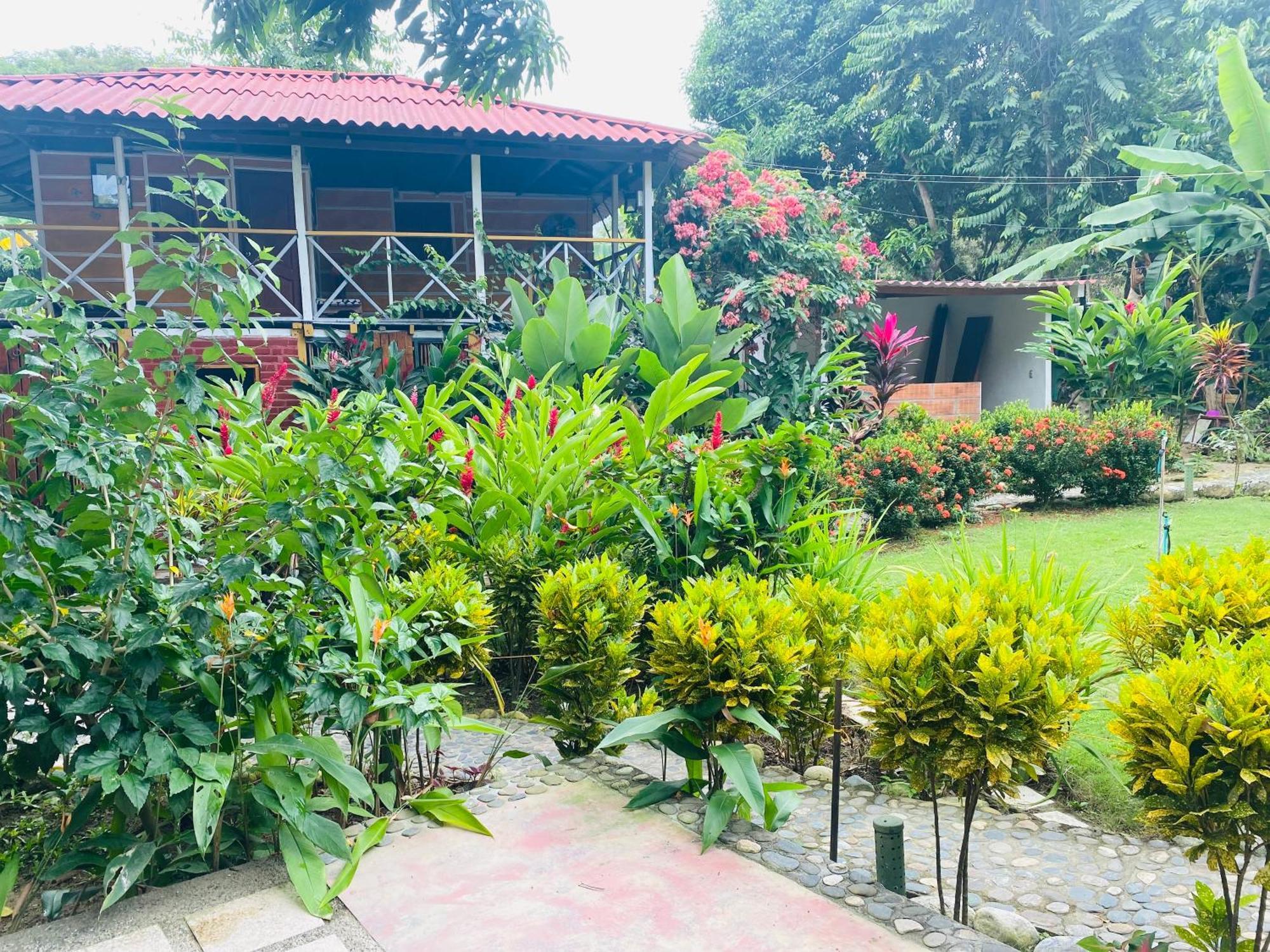 Wayanay Tayrona Eco Hostel エル・ザイノ エクステリア 写真