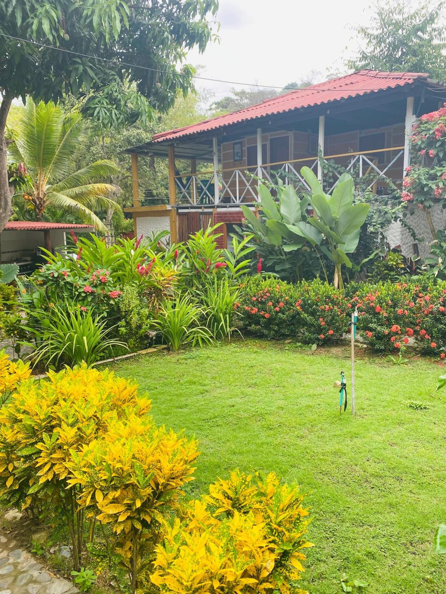 Wayanay Tayrona Eco Hostel エル・ザイノ エクステリア 写真