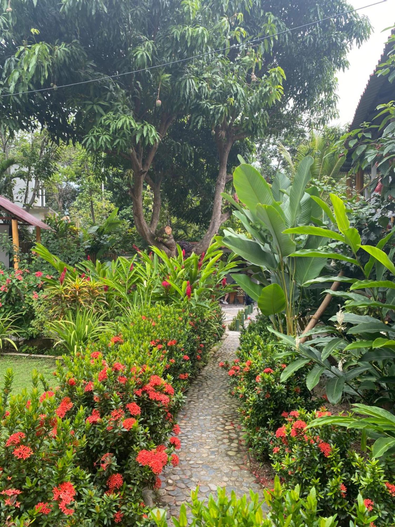 Wayanay Tayrona Eco Hostel エル・ザイノ エクステリア 写真