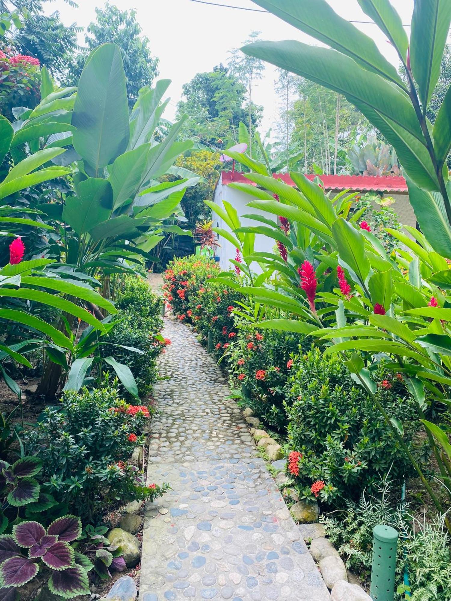 Wayanay Tayrona Eco Hostel エル・ザイノ エクステリア 写真