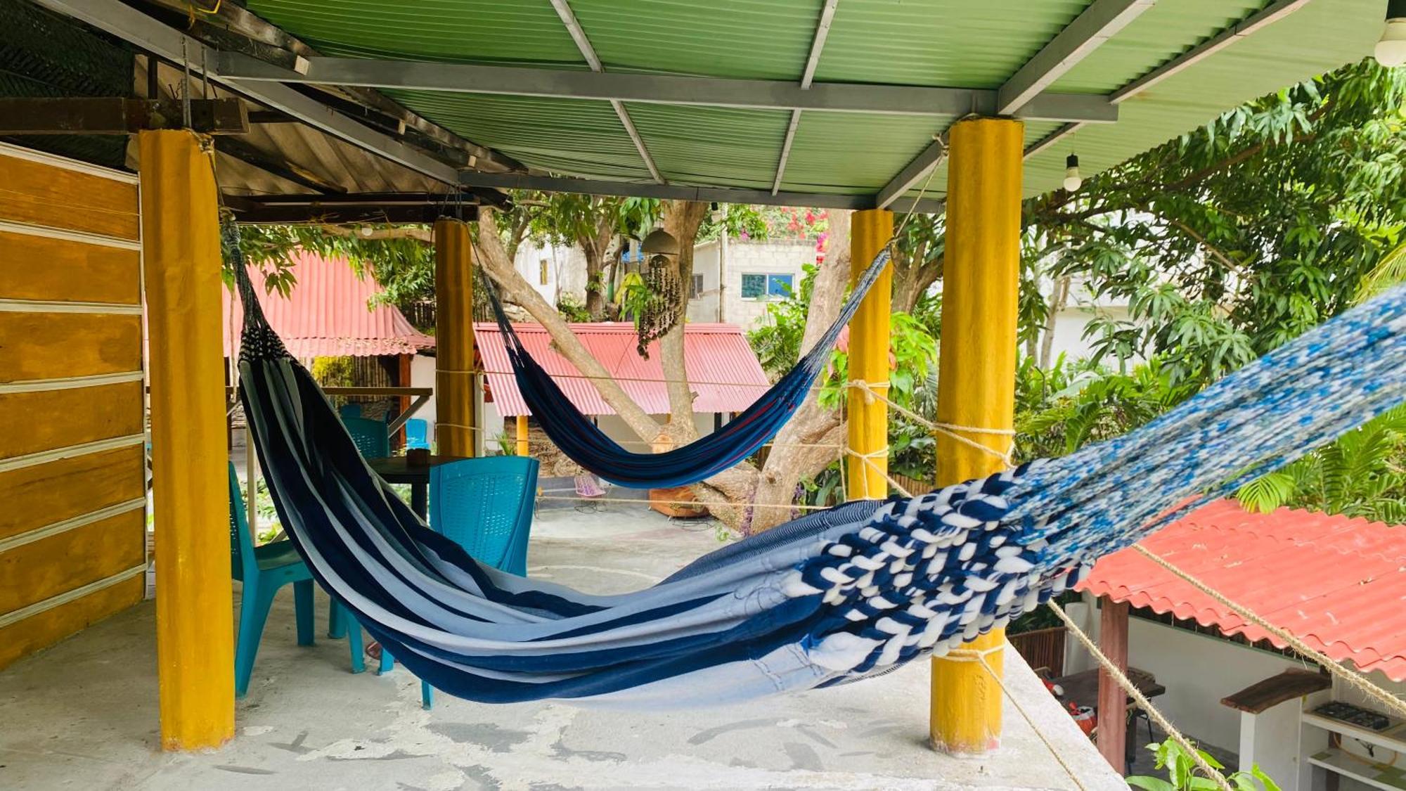 Wayanay Tayrona Eco Hostel エル・ザイノ エクステリア 写真