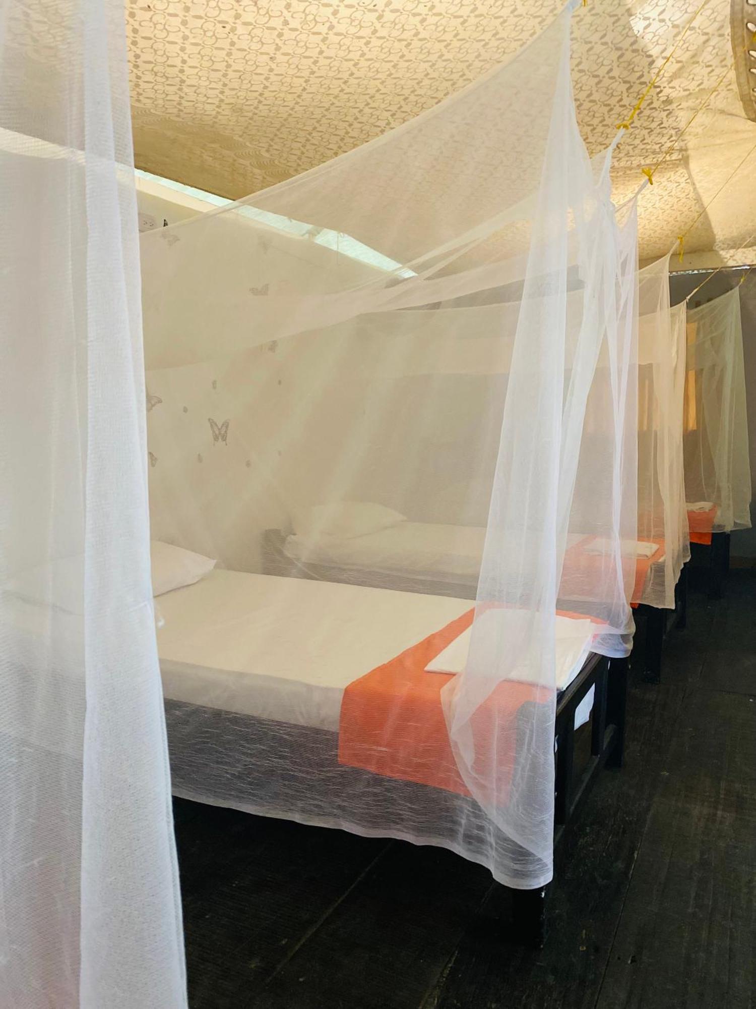 Wayanay Tayrona Eco Hostel エル・ザイノ エクステリア 写真