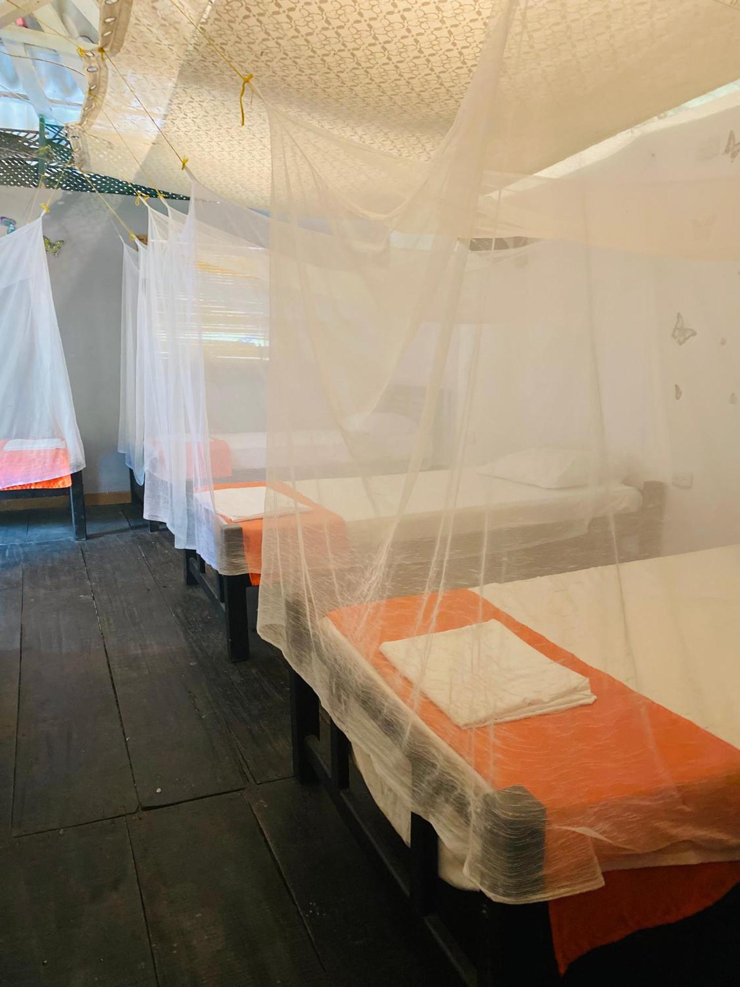 Wayanay Tayrona Eco Hostel エル・ザイノ エクステリア 写真